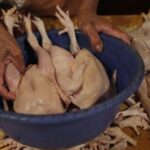 Harga Daging Ayam di Sumut Tembus Rp55 Ribu per Kg