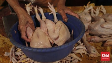 Harga Daging Ayam di Sumut Tembus Rp55 Ribu per Kg